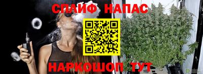 эйфоретик Ставрополь