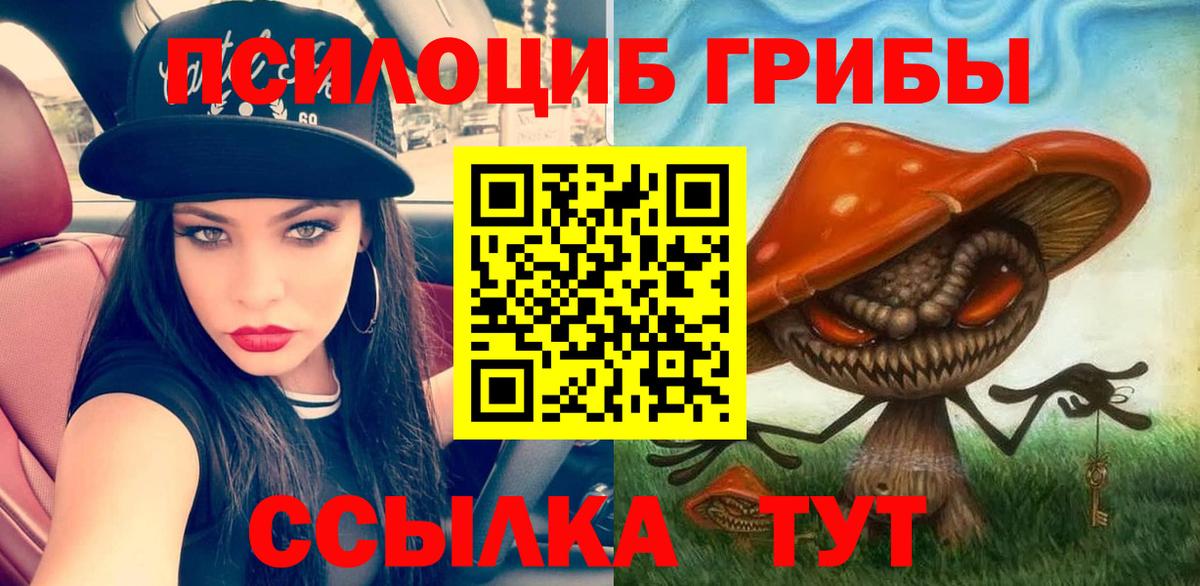 Галлюциногенные грибы Psilocybe  Вход с VPN  Боровичи 